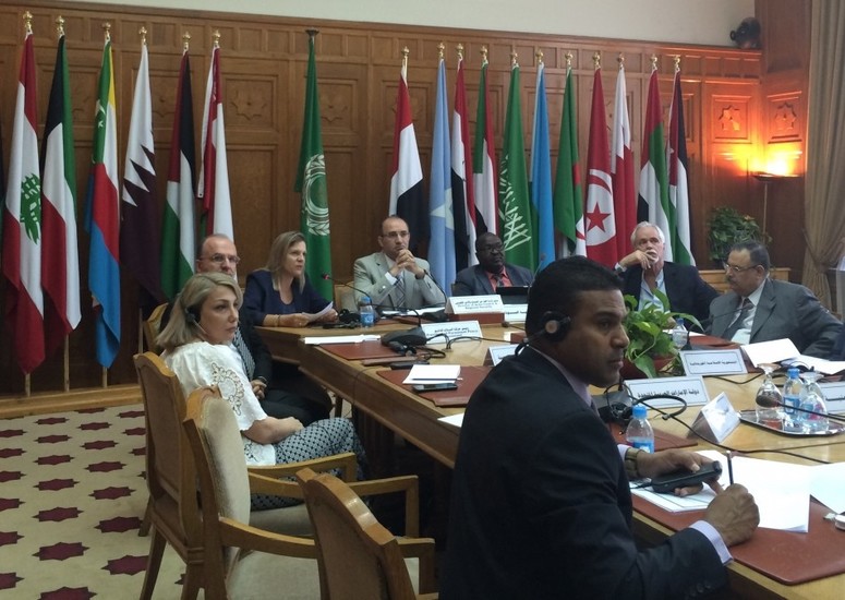 Symposium-Arab-Region-SALW-May16.jpg Thumbnail