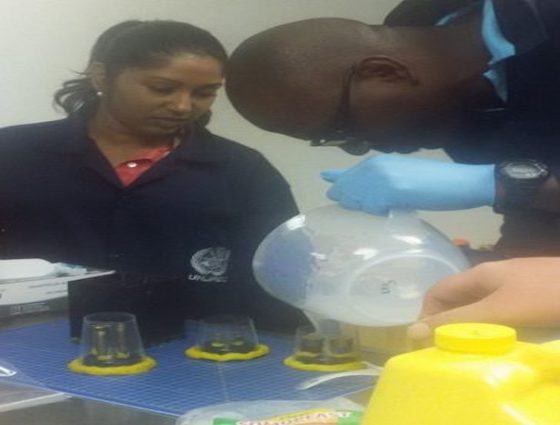 260617-060717.jpg Thumbnail