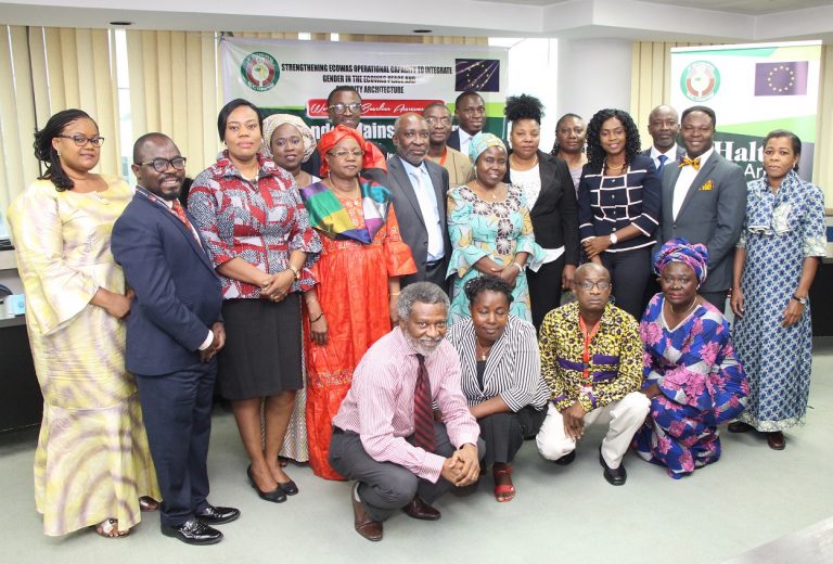 ecowas_salw_and_gender_expert_meeting.jpg Thumbnail